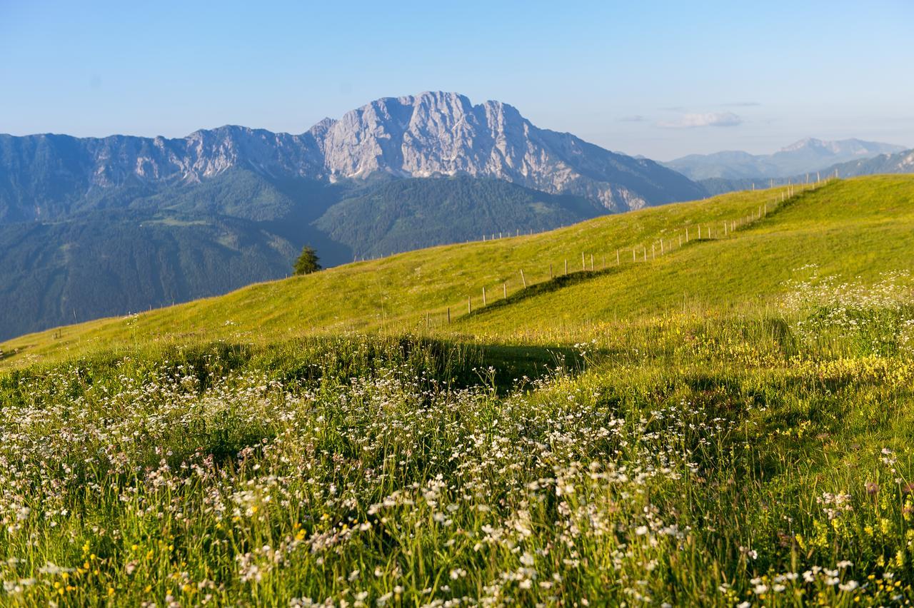 Sattleggers Alpenhof & Feriensternwarte Ξενοδοχείο Greifenburg Εξωτερικό φωτογραφία