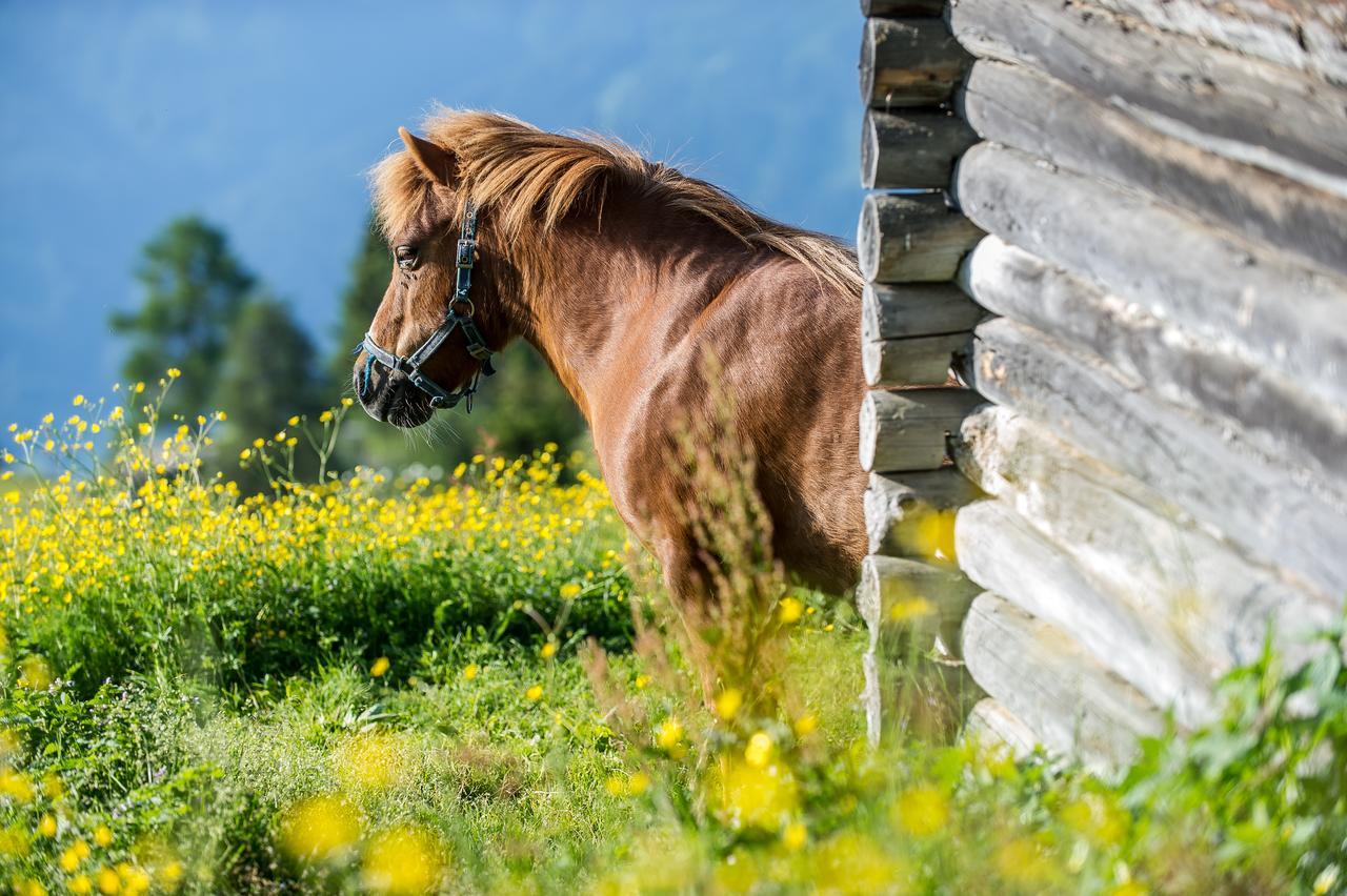 Sattleggers Alpenhof & Feriensternwarte Ξενοδοχείο Greifenburg Εξωτερικό φωτογραφία