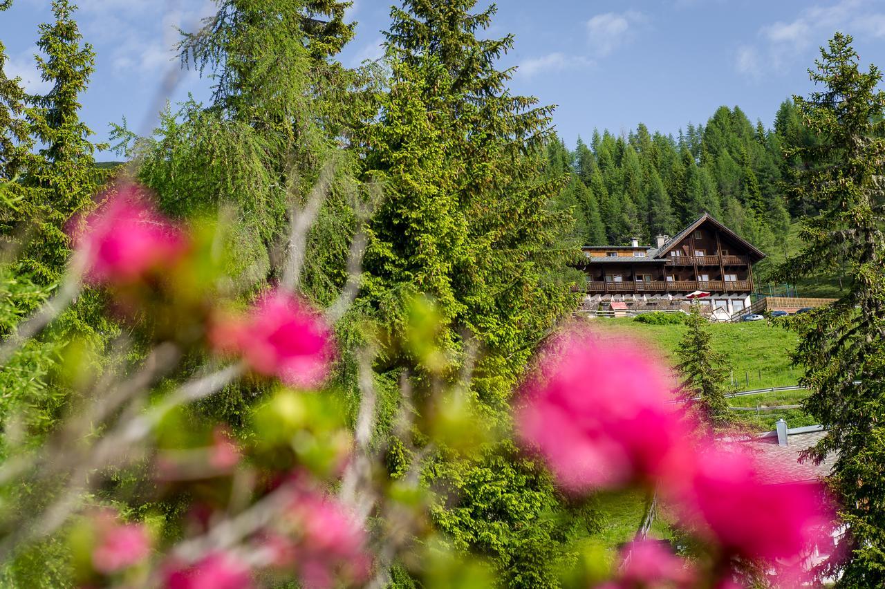 Sattleggers Alpenhof & Feriensternwarte Ξενοδοχείο Greifenburg Εξωτερικό φωτογραφία
