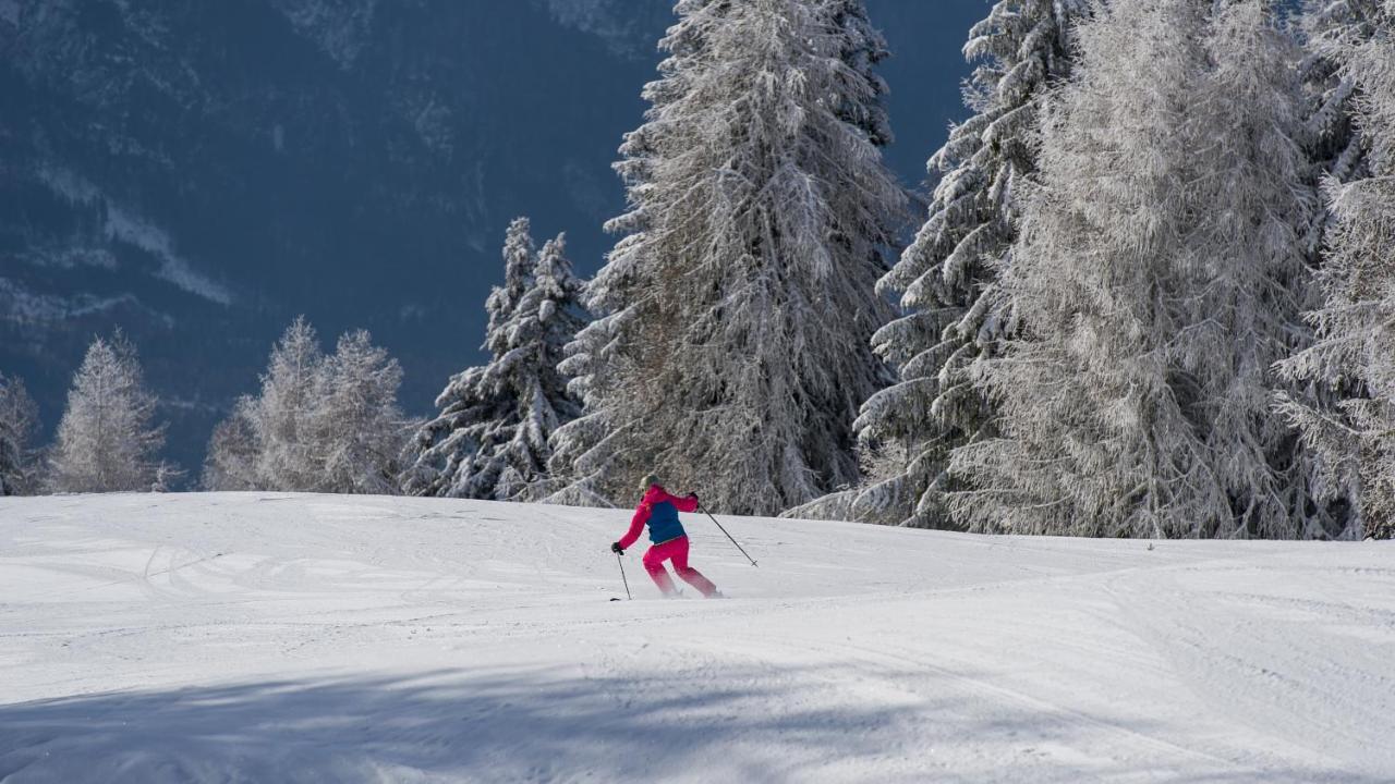 Sattleggers Alpenhof & Feriensternwarte Ξενοδοχείο Greifenburg Εξωτερικό φωτογραφία